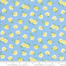 Load image into Gallery viewer, SUMMER BREEZE V - #33306-13 - One Half Yard - Floral Daisies - Light Blue - by Moda- Blues - Greens - Yardage - Classic - Pre-Cuts
