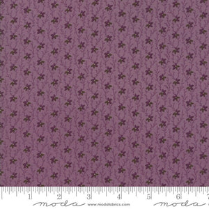 EVELYN'S HOMESTEAD - Repro Ragged Robin Natural - Porcelain - #31561-12 - 1/2 Yard - by Betsy Chutchian for Moda - Reproduction - Shirtings