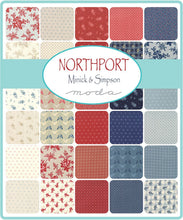 Load image into Gallery viewer, NORTHPORT - Silky Wovens - #12215-12 - Light Blue Check - One Half Yard - Minick &amp; Simpson - Moda - Blue - Cream
