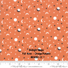 Load image into Gallery viewer, MIDNIGHT MAGIC - #24083-13 - Black Cats on Grey - by April Rosenthal for Moda - One Half Yard - Halloween
