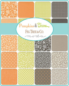 PUMPKINS and BLOSSOMS - #20424-11 - Pumpkin - Off White-Orange - Plaid Bias Check - Fig Tree - One Half Yard - Binding - Borders