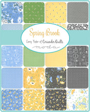 Load image into Gallery viewer, Spring Brook - by Corey Yoder for Moda - 29110 - HONEY BUN - Gray - Blue - Yellow
